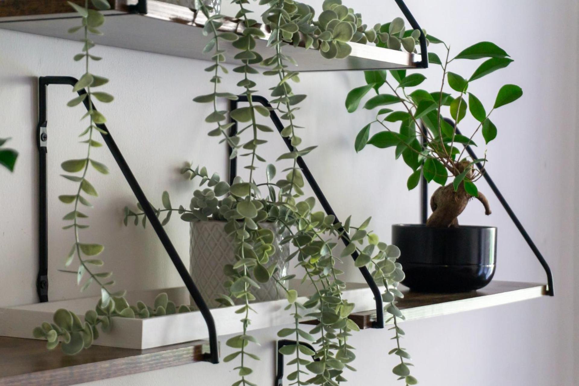 וינה Apartment With Garden Close To Stadthalle, Westbahnhof מראה חיצוני תמונה
